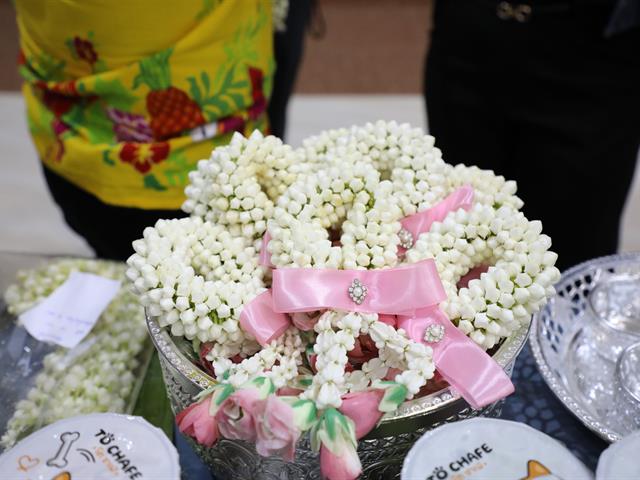 คณะทันตแพทยศาสตร์ มหาวิทยาลัยพะเยา เข้าร่วมพิธีสระเกล้าดำหัวอธิการบดีและผู้อาวุโส ในงาน “ประเพณีปี๋ใหม่เมือง มหาวิทยาลัยพะเยา ม.พะเยา ประจำปี 2569”