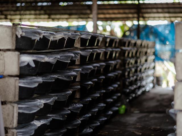ม.พะเยา ต้อนรับ สกสว. ลงพื้นที่ติดตามผลการขับเคลื่อนงานวิจัยสู่การใช้ประโยชน์จริง หนุนการพัฒนาเชิงพื้นที่อย่างยั่งยืน