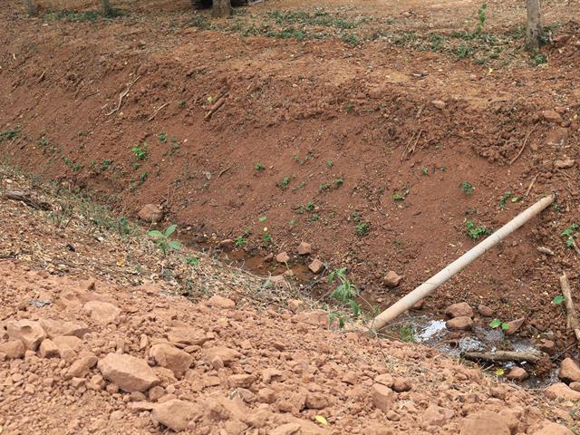 กองอาคารสถานที่