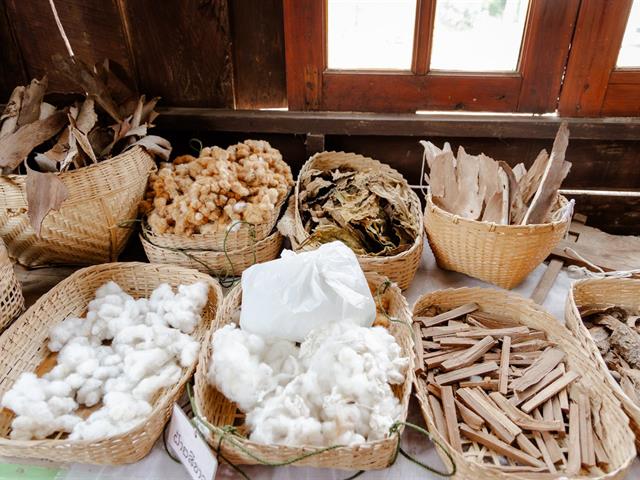 UP and TSRI Advance Research Utilization for Sustainable Regional Development