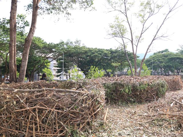กองอาคารสถานที่