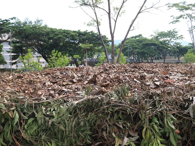 กองอาคารสถานที่