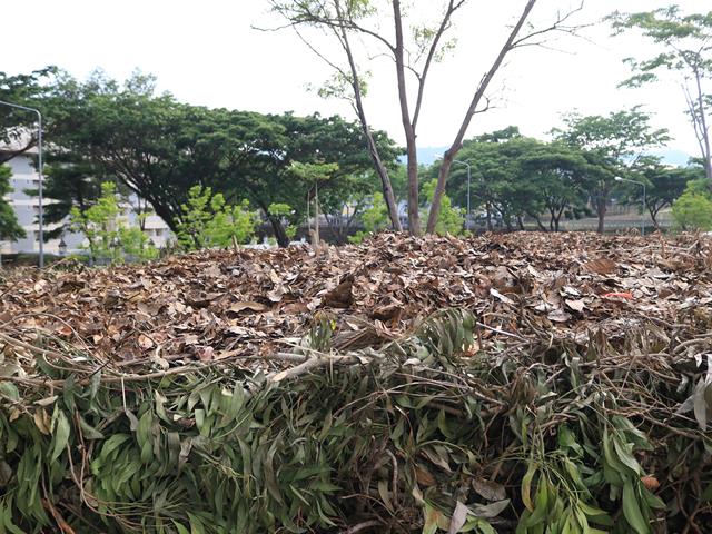 กองอาคารสถานที่