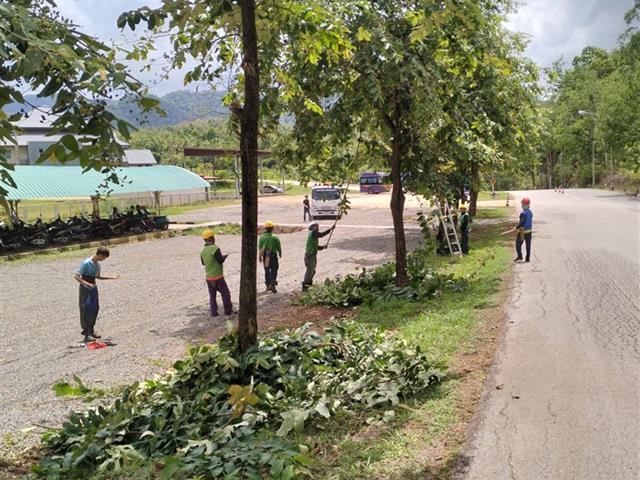 กองอาคารสถานที่