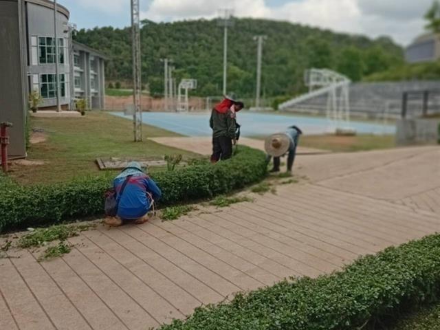 กองอาคารสถานที่