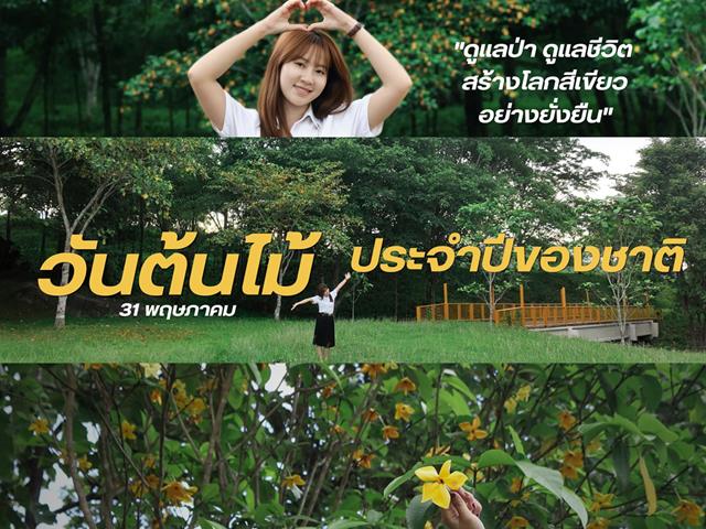 กองอาคารสถานที่