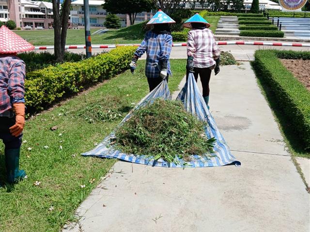 กองอาคารสถานที่