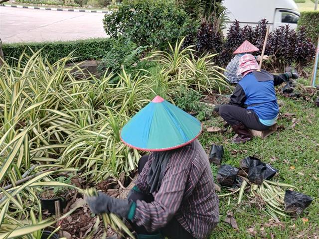 กองอาคารสถานที่