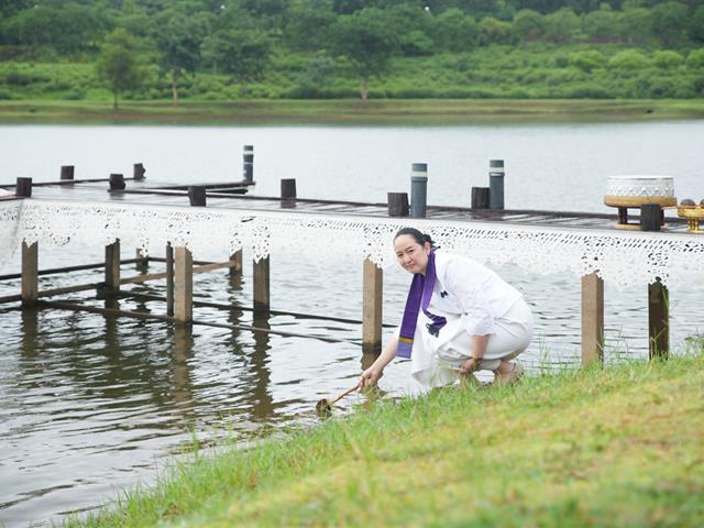 มหาวิทยาลัยพะเยา
