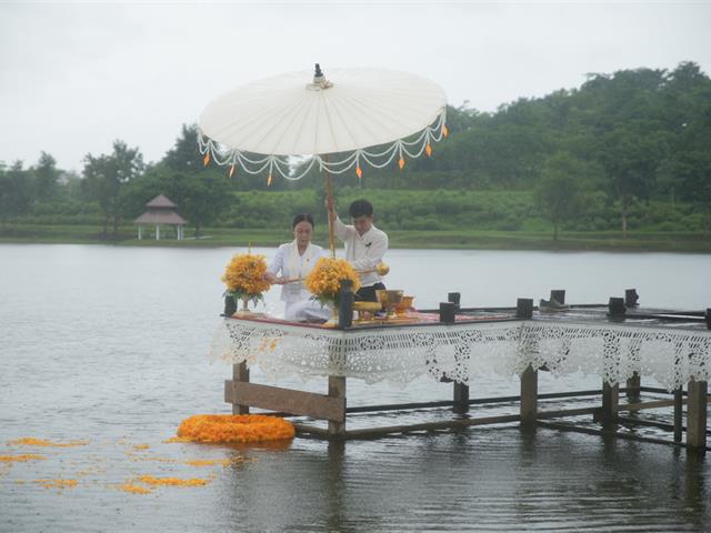มหาวิทยาลัยพะเยา