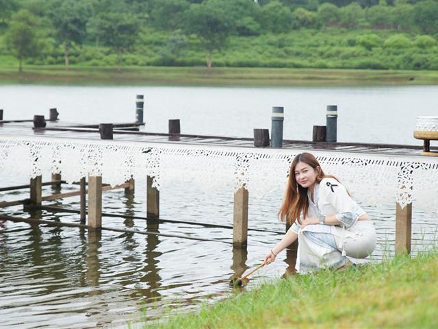 มหาวิทยาลัยพะเยา
