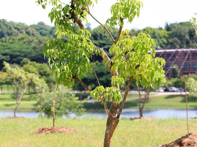 กองอาคารสถานที่
