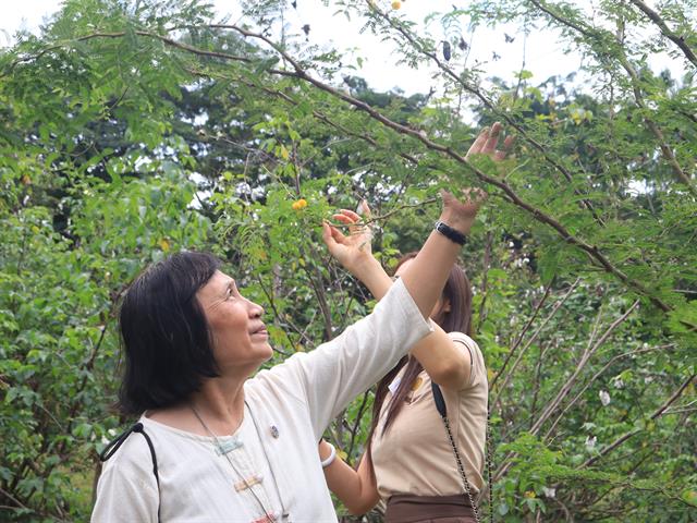กองอาคารสถานที่ มหาวิทยาลัยพะเยา 