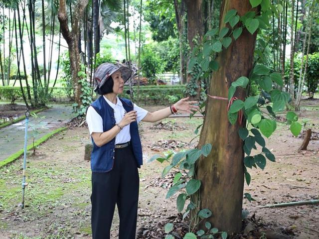 วิทยาเขตเชียงราย ขับเคลื่อนเศรษฐกิจสร้างสรรค์ด้วยนวัตกรรมสมุนไพรท้องถิ่น ยกระดับชุมชนสู่ความยั่งยืน