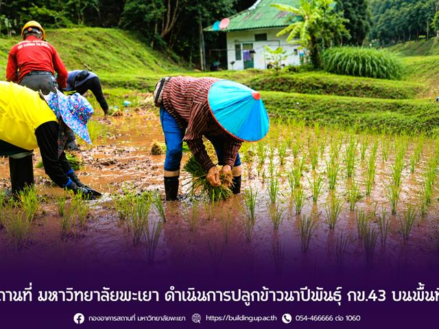 กองอาคารสถานที่
