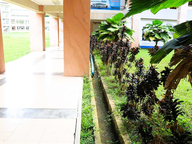กองอาคารสถานที่