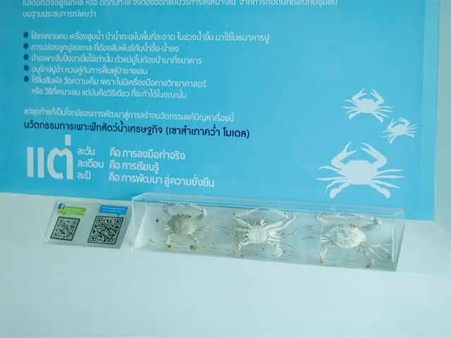 ผู้เข้าร่วมโครงการแลกเปลี่ยนเรียนรู้ข้อคิดเห็นและข้อเสนอแนะร่วมกัน